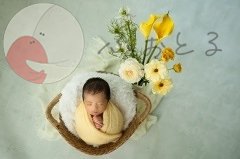 mah photoのポートフォリオ7