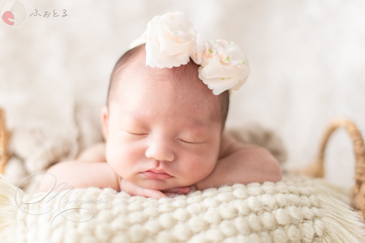 Minoriのポートフォリオ0