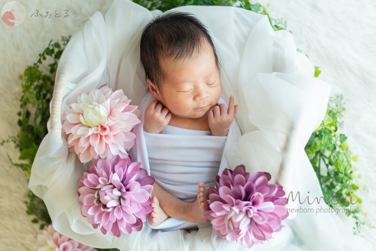 Minoriのポートフォリオ3