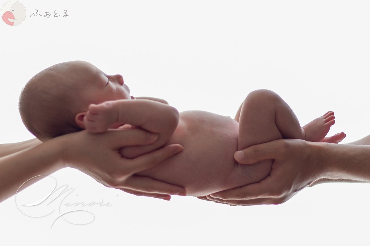 Minoriのポートフォリオ7