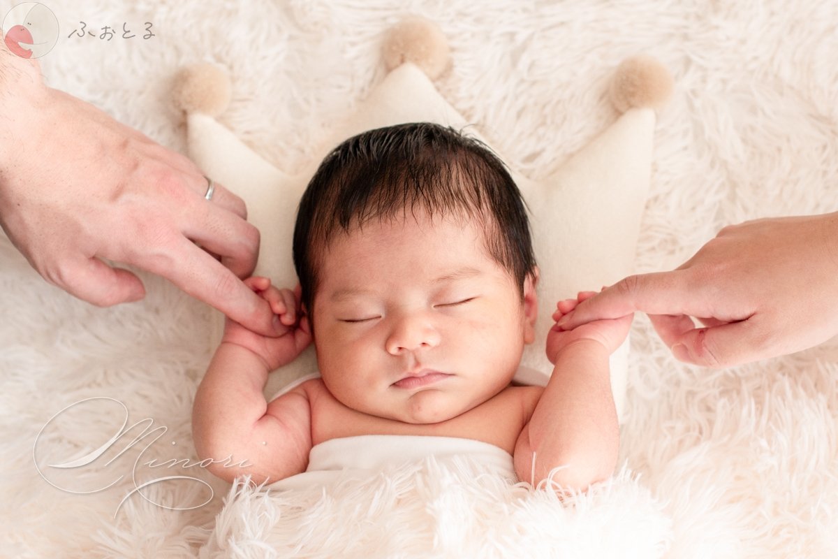 Minoriのポートフォリオ8