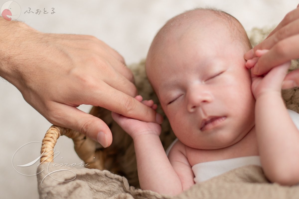 Minoriのポートフォリオ9