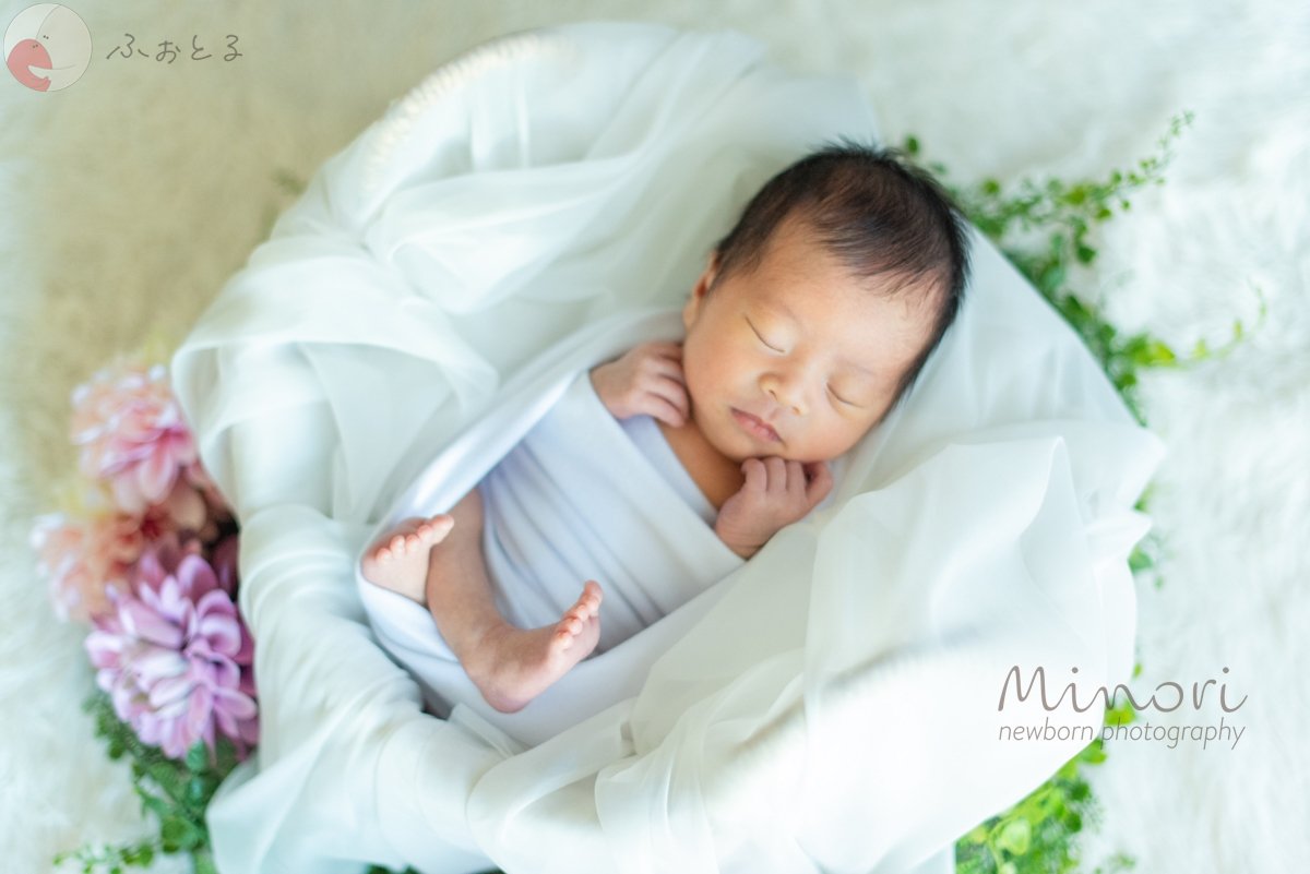 Minoriのポートフォリオ1