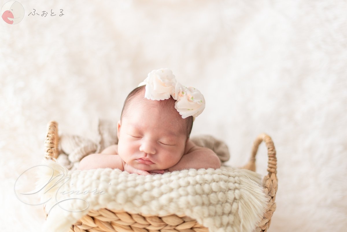 Minoriのポートフォリオ0