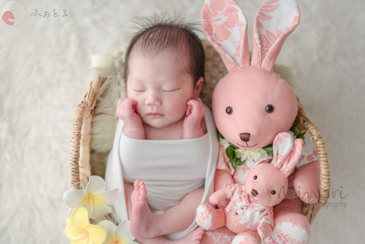 Minoriのポートフォリオ0