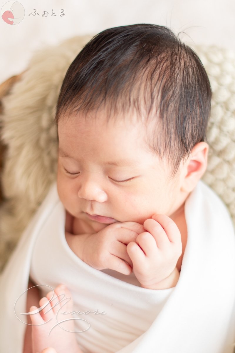 Minoriのポートフォリオ1