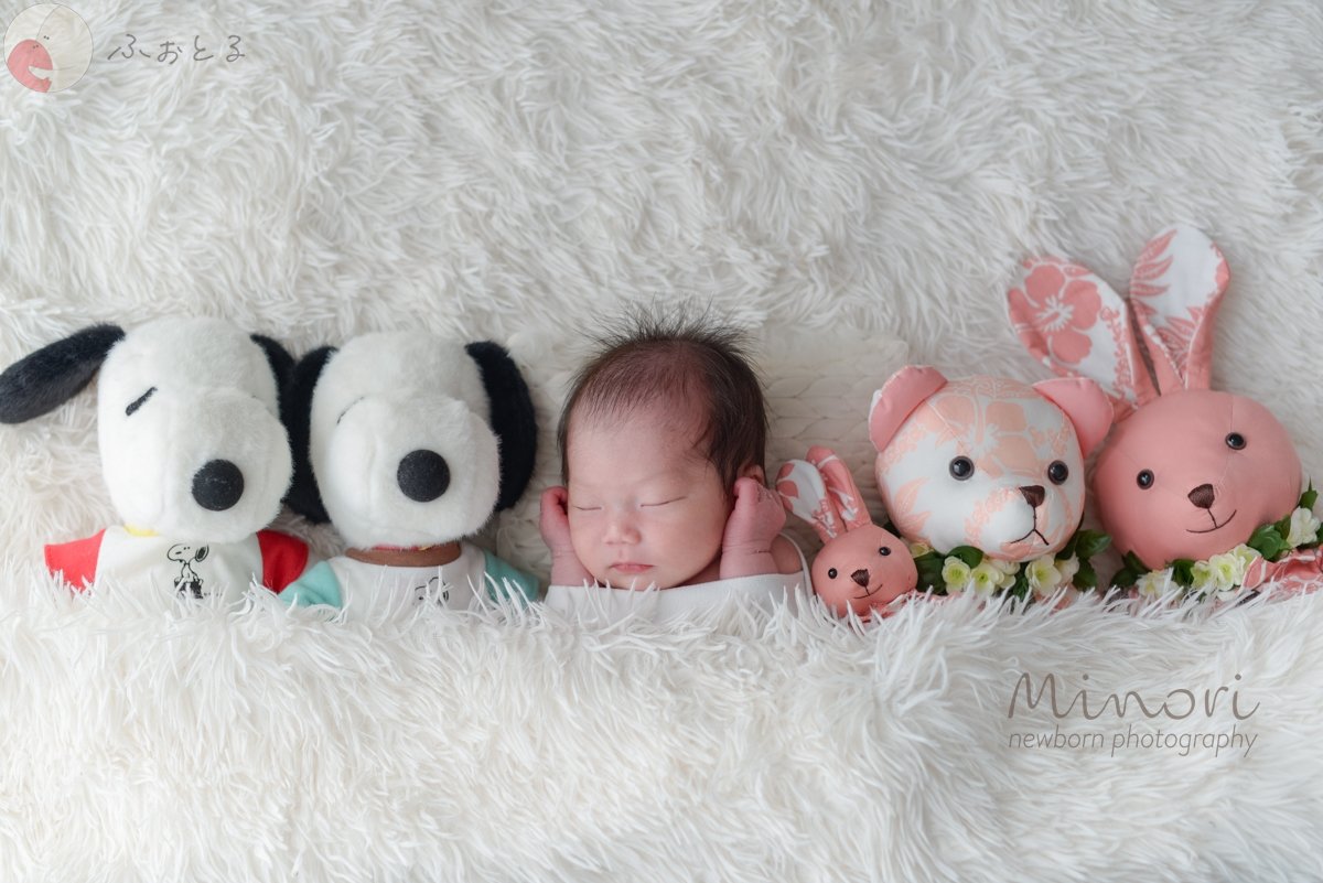 Minoriのポートフォリオ1