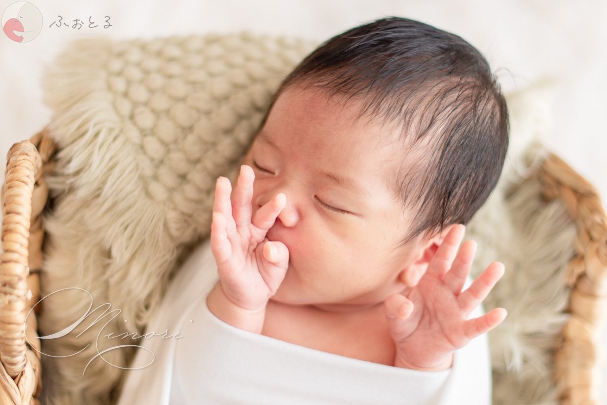 Minoriのポートフォリオ2