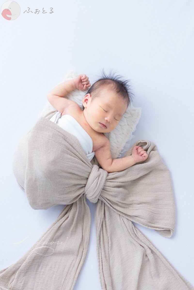 Minoriのポートフォリオ4