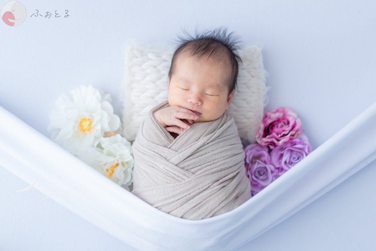 Minoriのポートフォリオ7