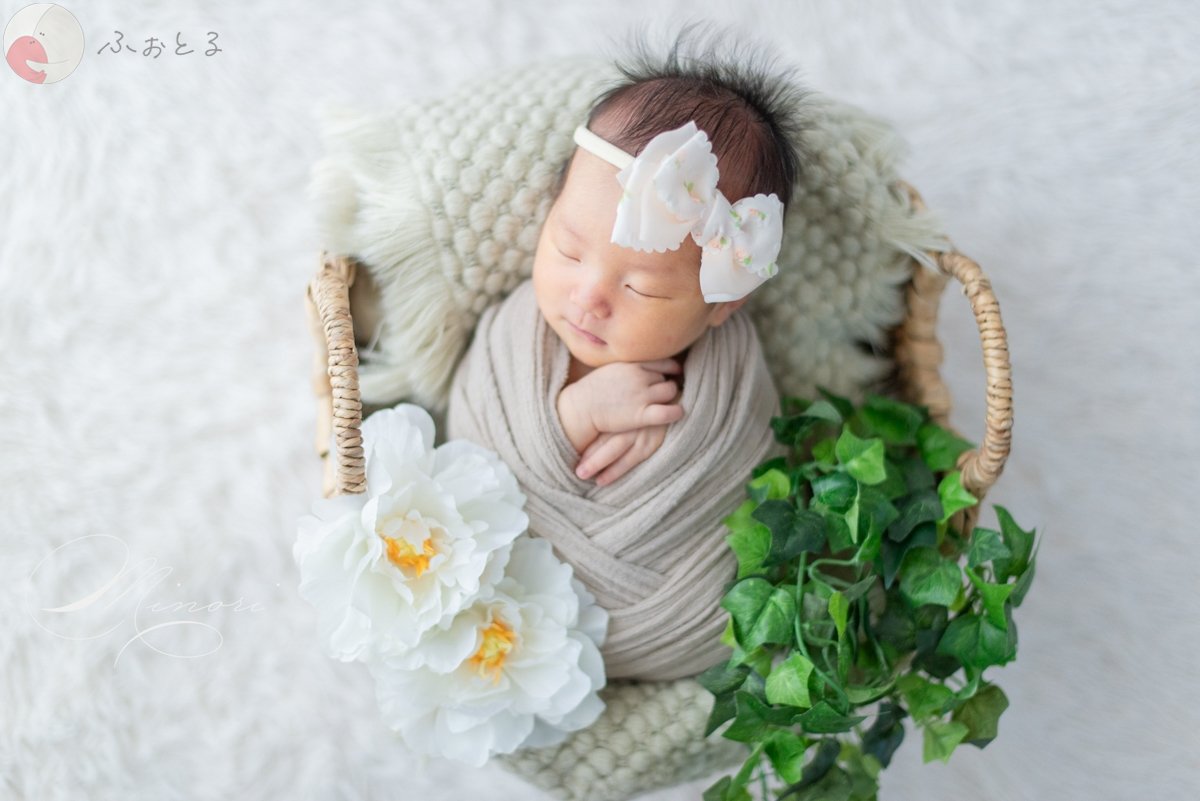 Minoriのポートフォリオ8