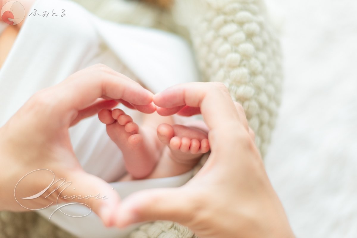 Minoriのポートフォリオ2