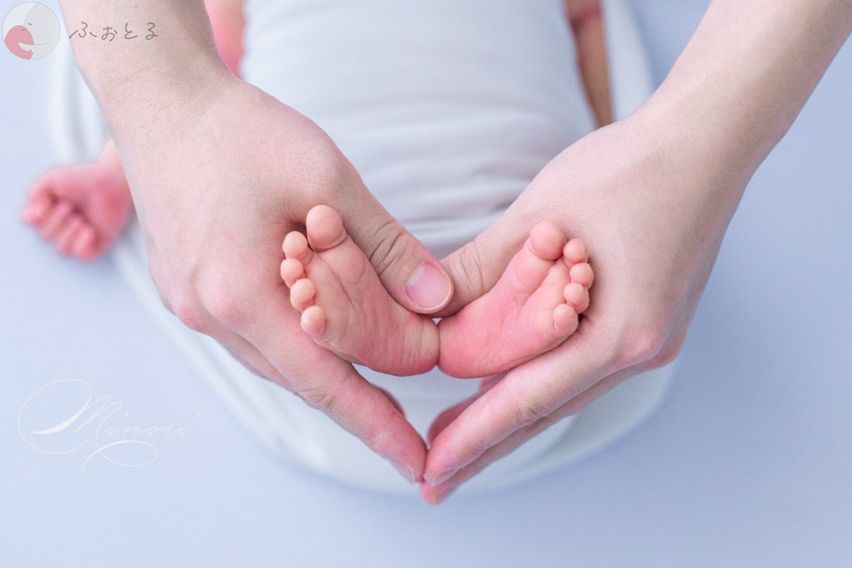 Minoriのポートフォリオ0