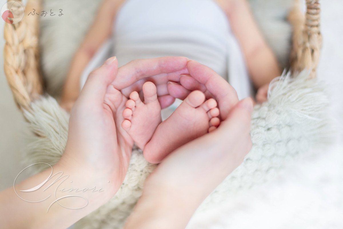 Minoriのポートフォリオ1