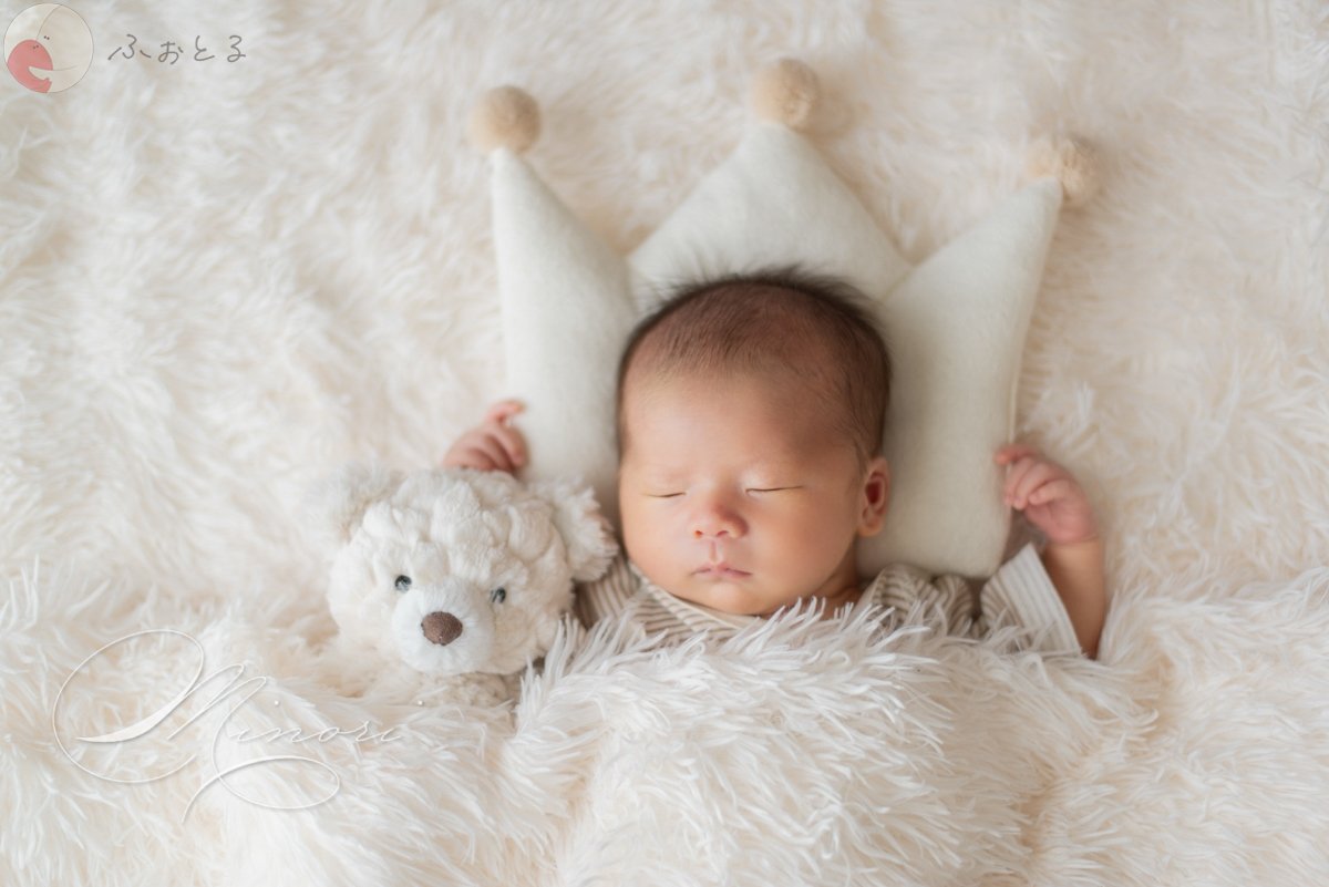 Minoriのポートフォリオ2