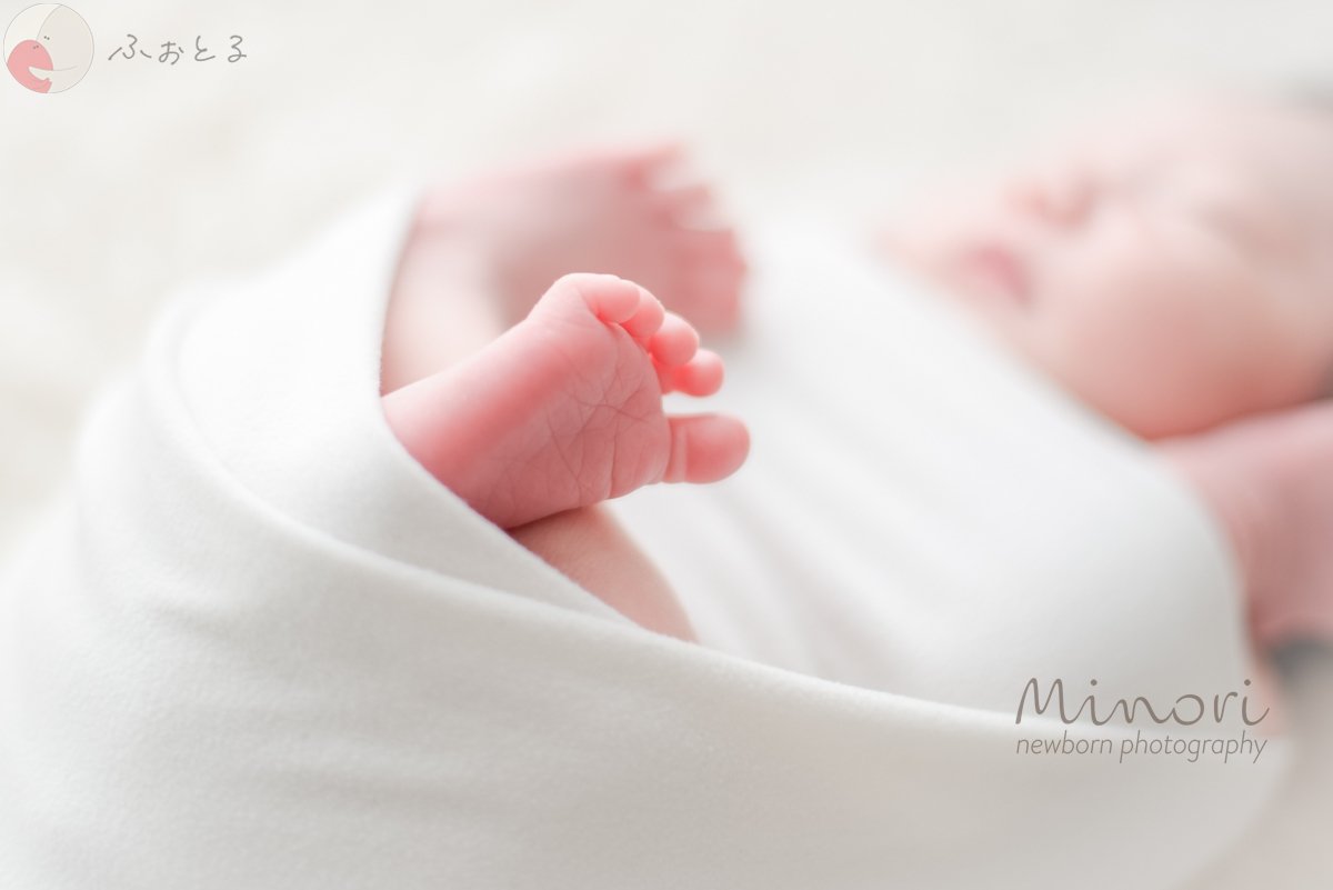 Minoriのポートフォリオ2