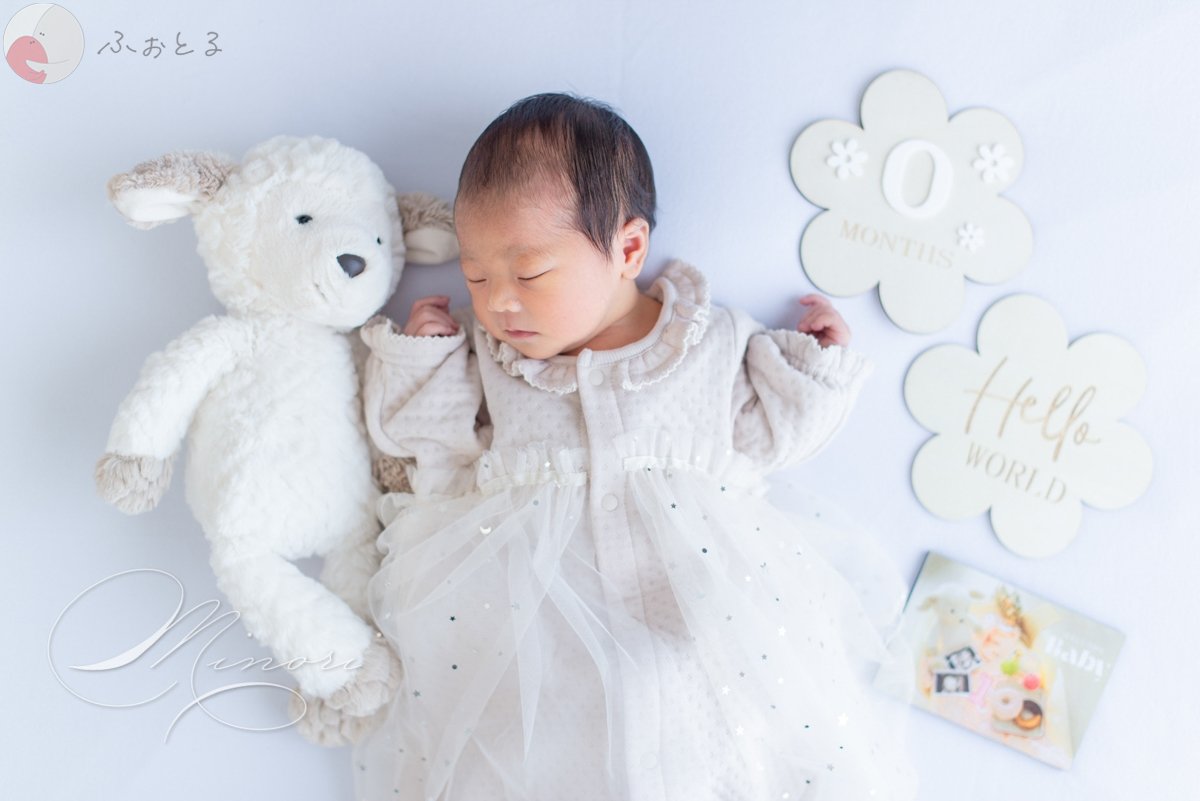 Minoriのポートフォリオ3