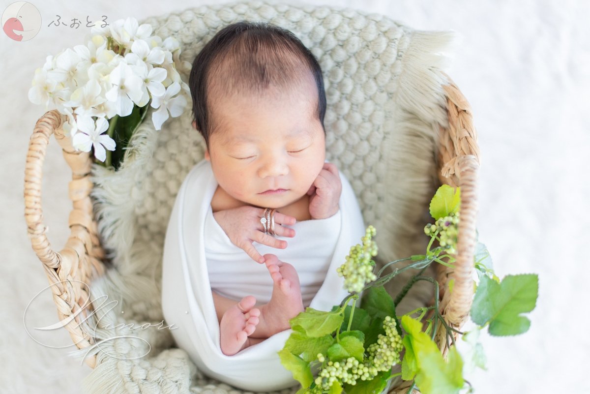 Minoriのポートフォリオ4