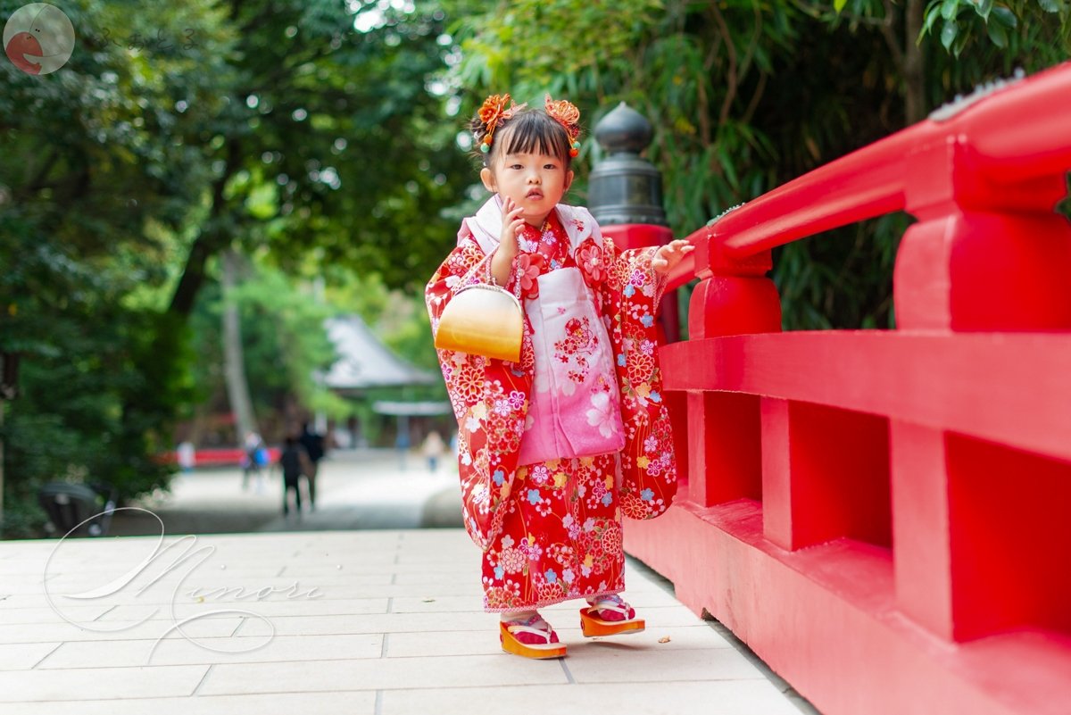 Minoriのポートフォリオ5