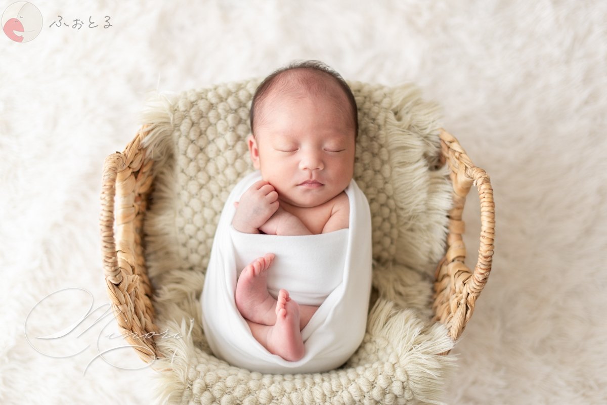 Minoriのポートフォリオ3