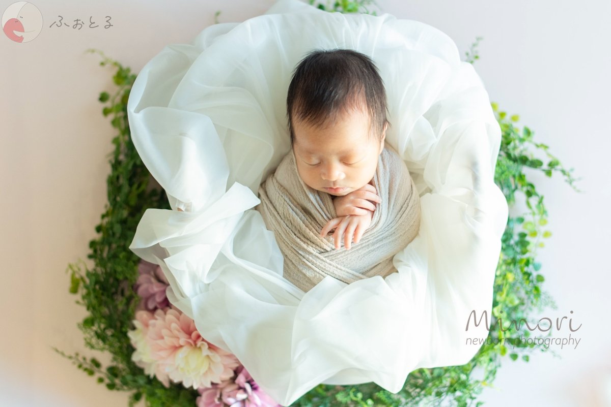 Minoriのポートフォリオ3