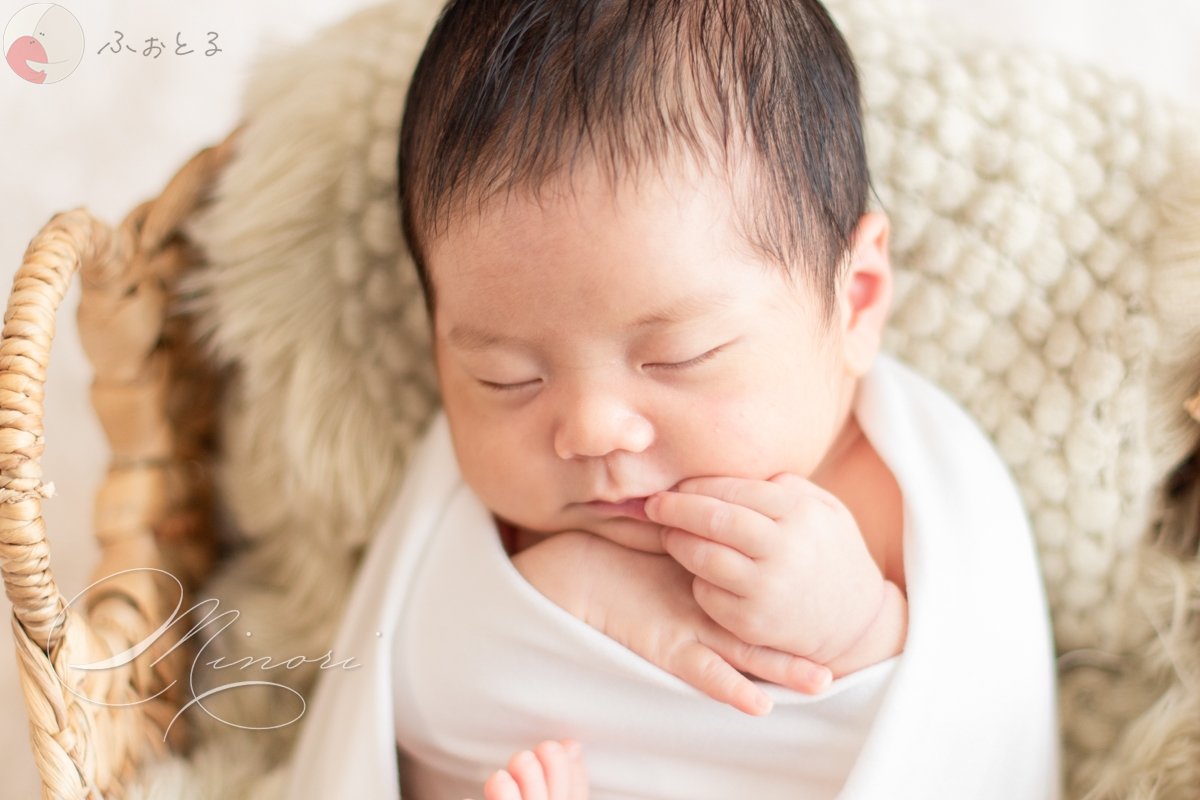 Minoriのポートフォリオ4