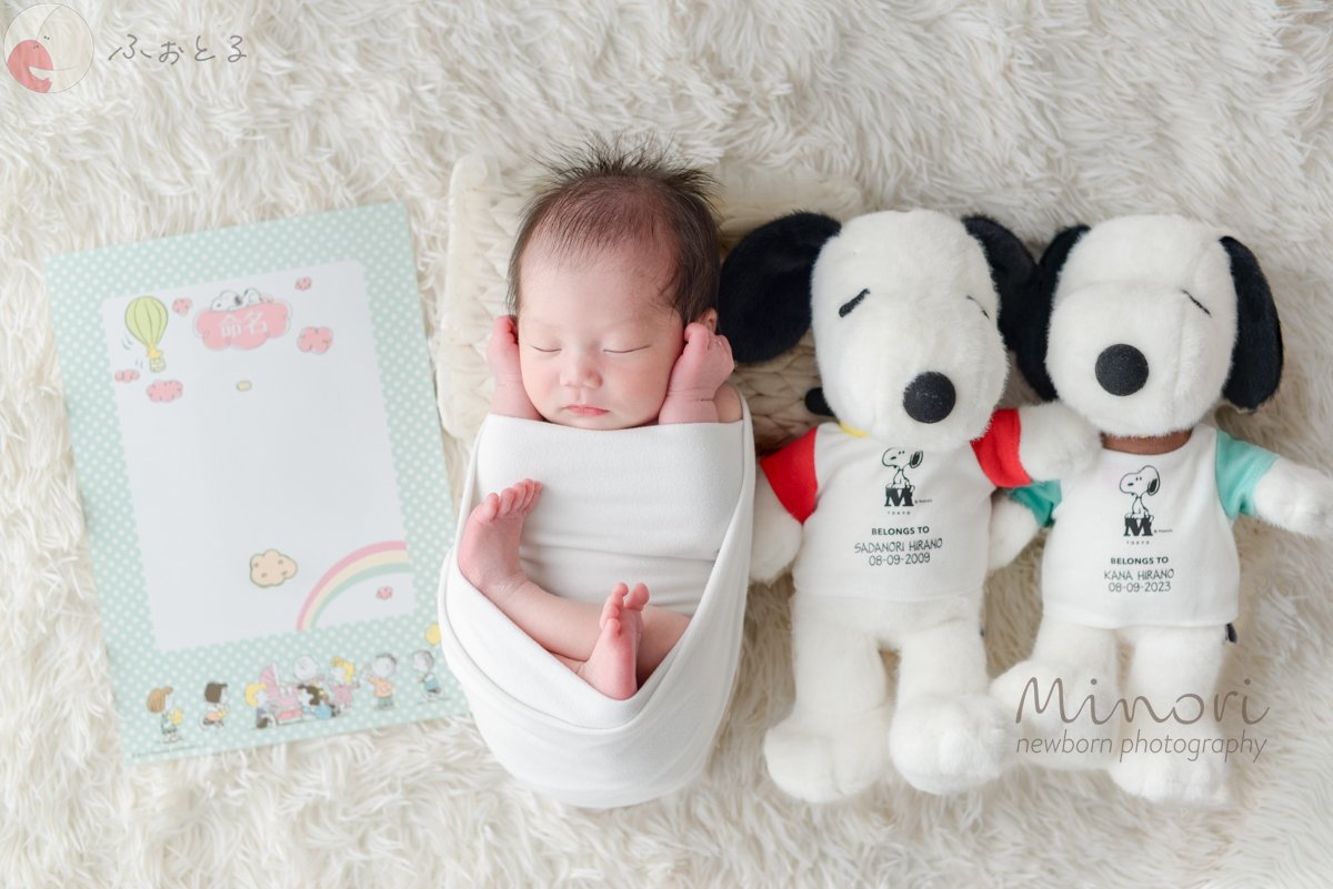 Minoriのポートフォリオ4