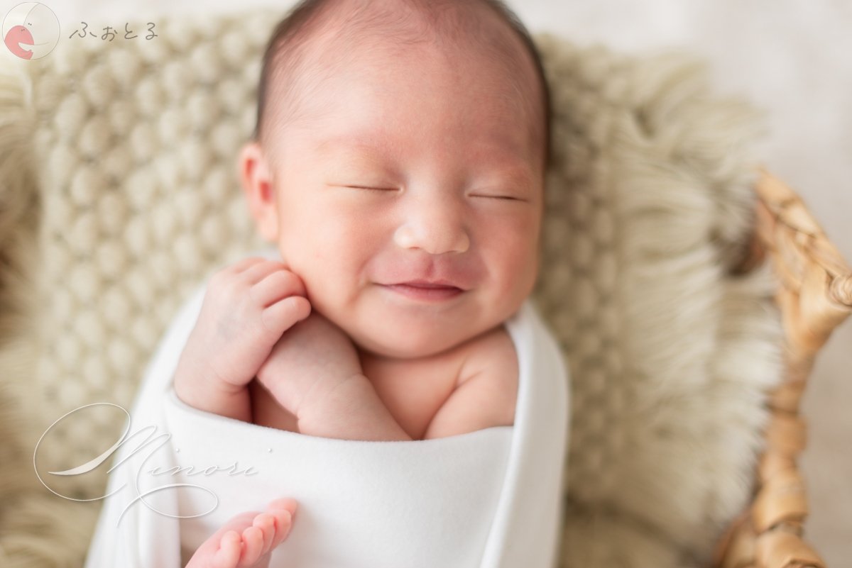 Minoriのポートフォリオ5