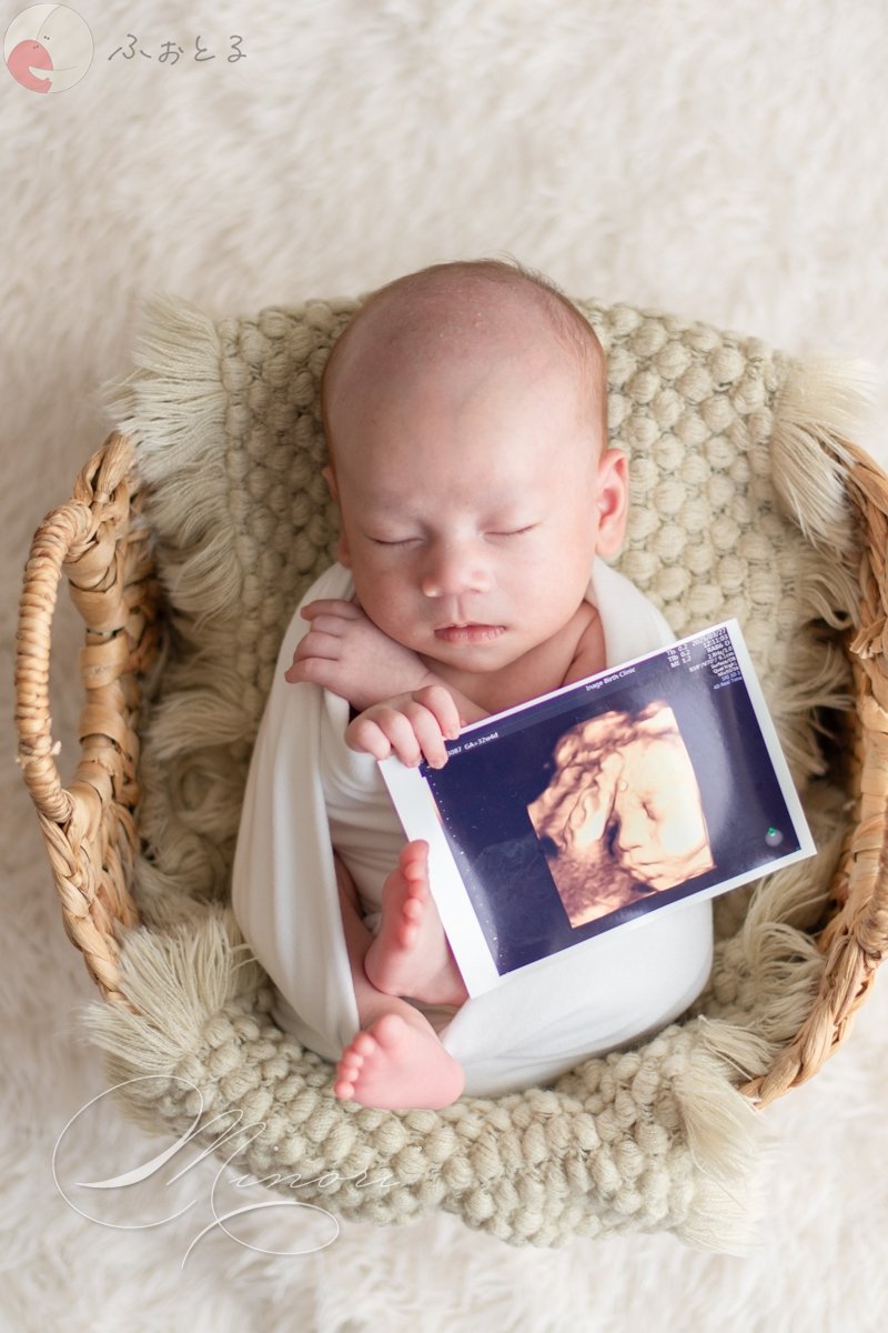 Minoriのポートフォリオ6