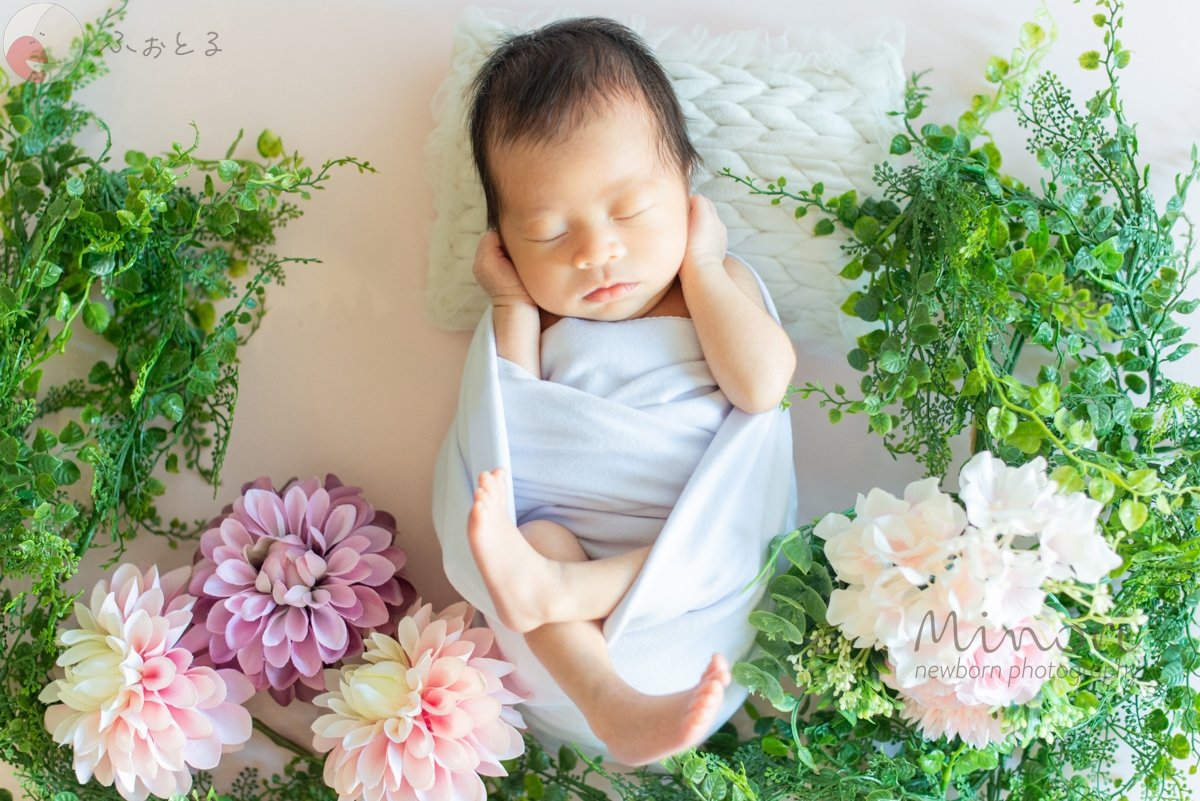 Minoriのポートフォリオ7