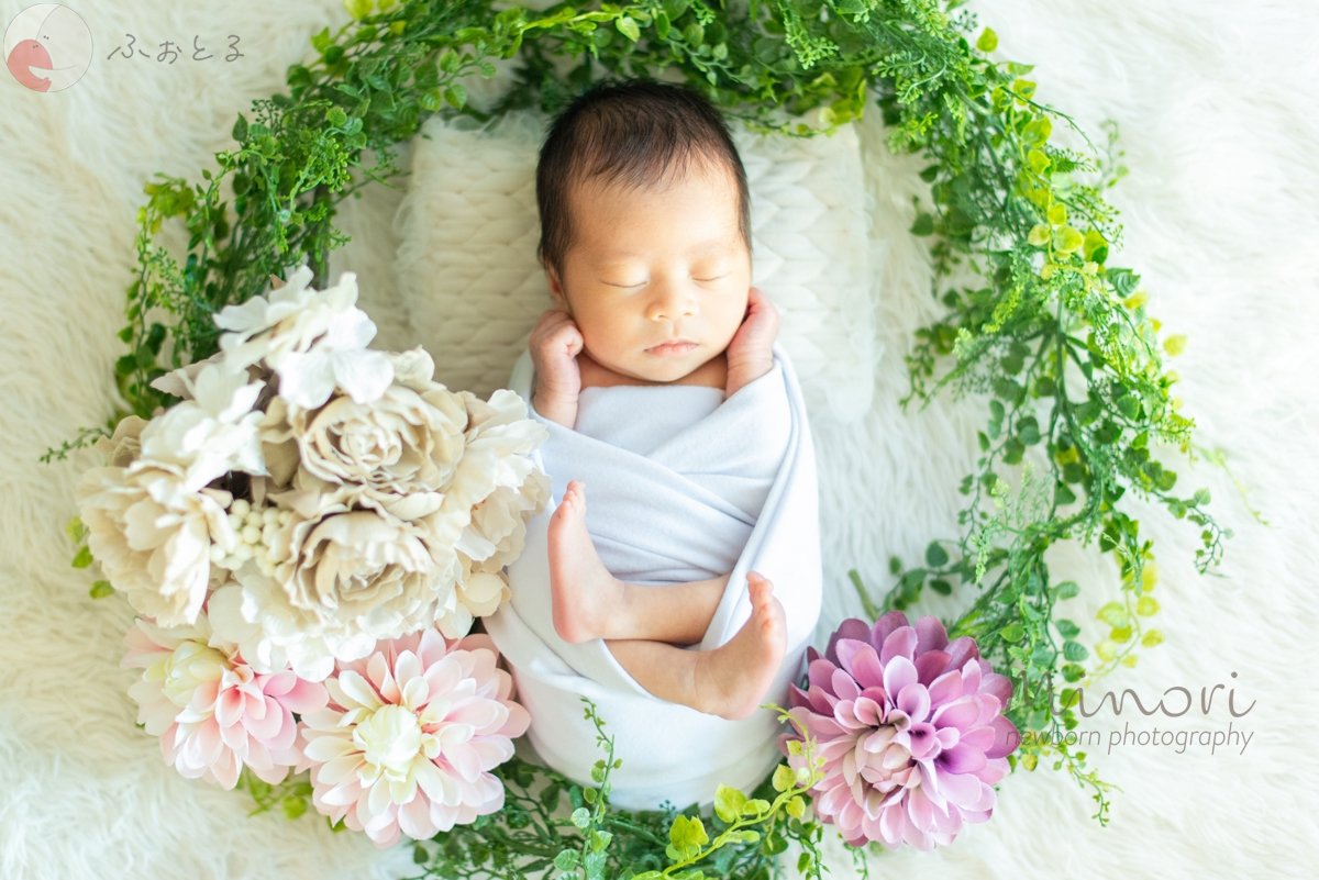 Minoriのポートフォリオ8