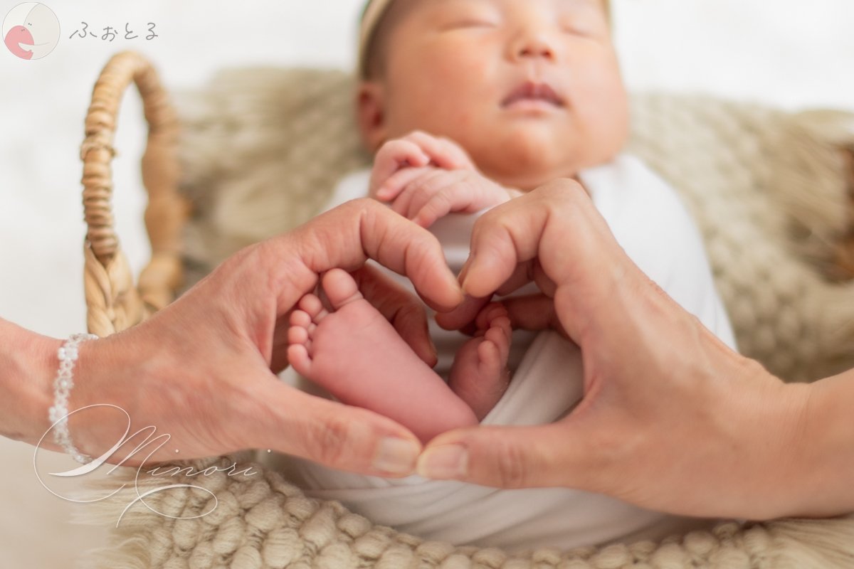 Minoriのポートフォリオ9