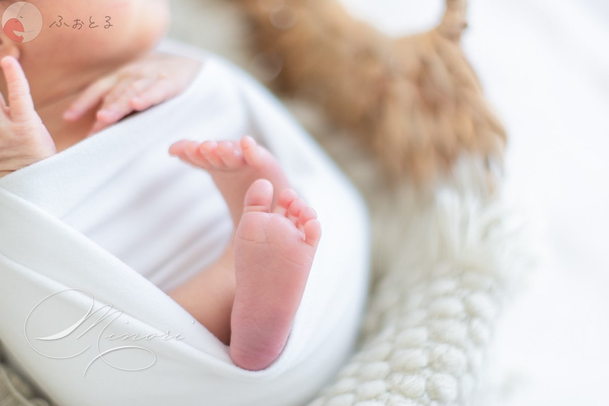 Minoriのポートフォリオ9