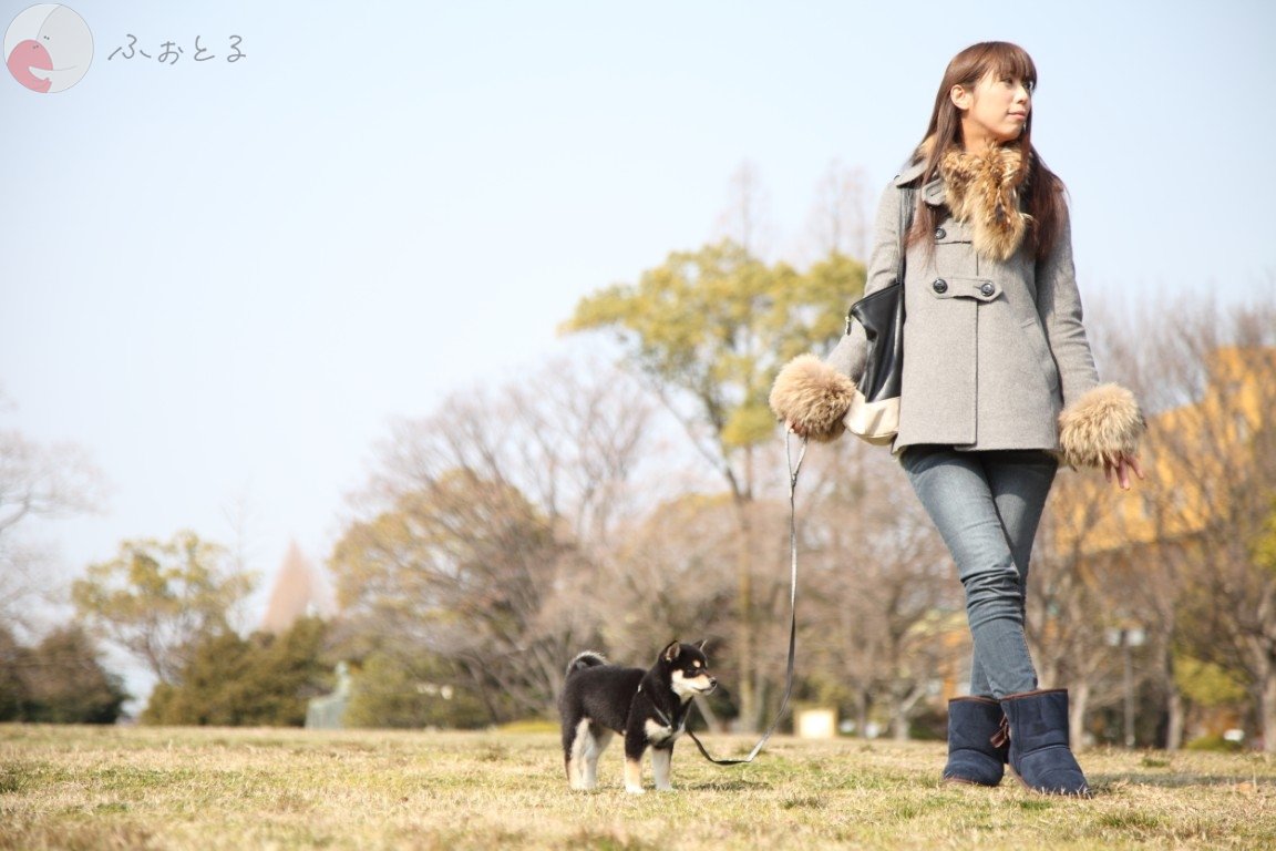 K.INABAのポートフォリオ0