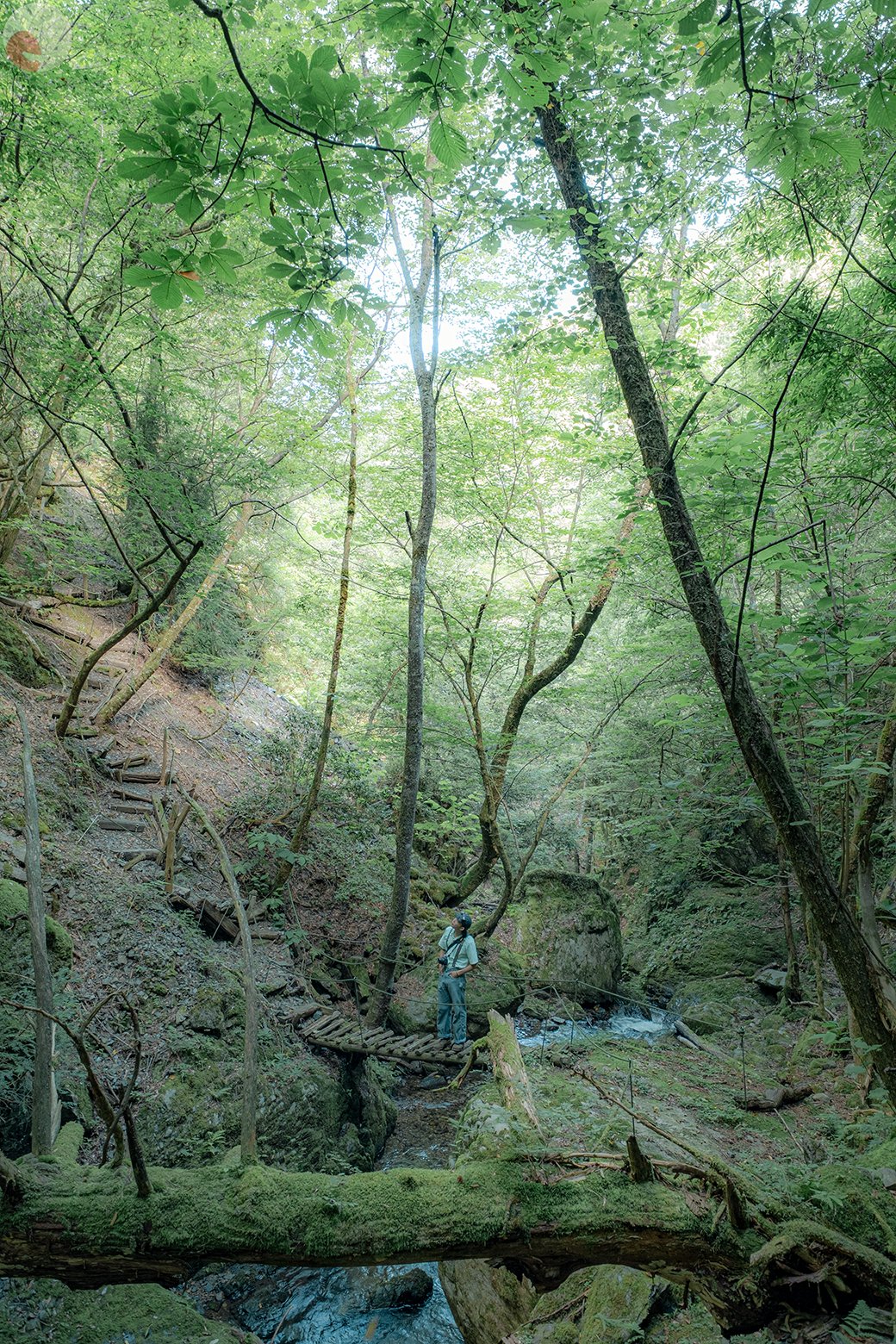 細川のポートフォリオ3