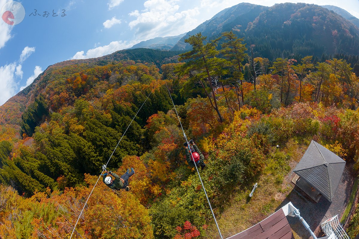 細川のポートフォリオ5