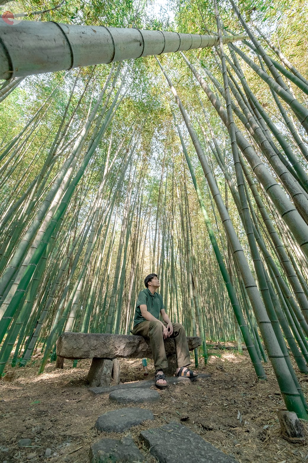 細川のポートフォリオ6