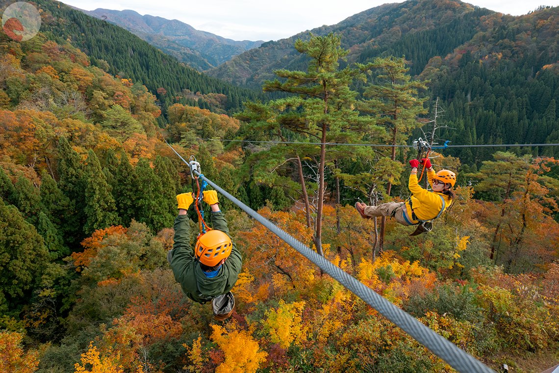 細川のポートフォリオ6