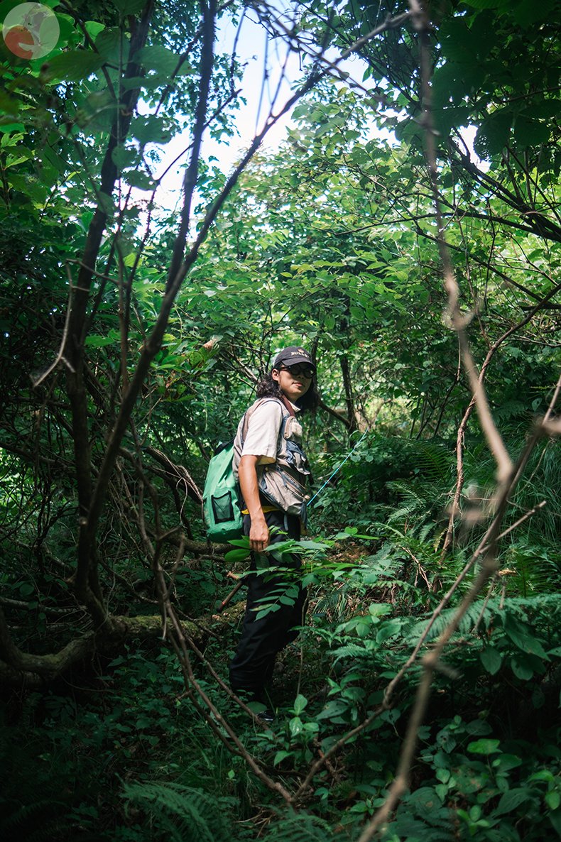 細川のポートフォリオ7