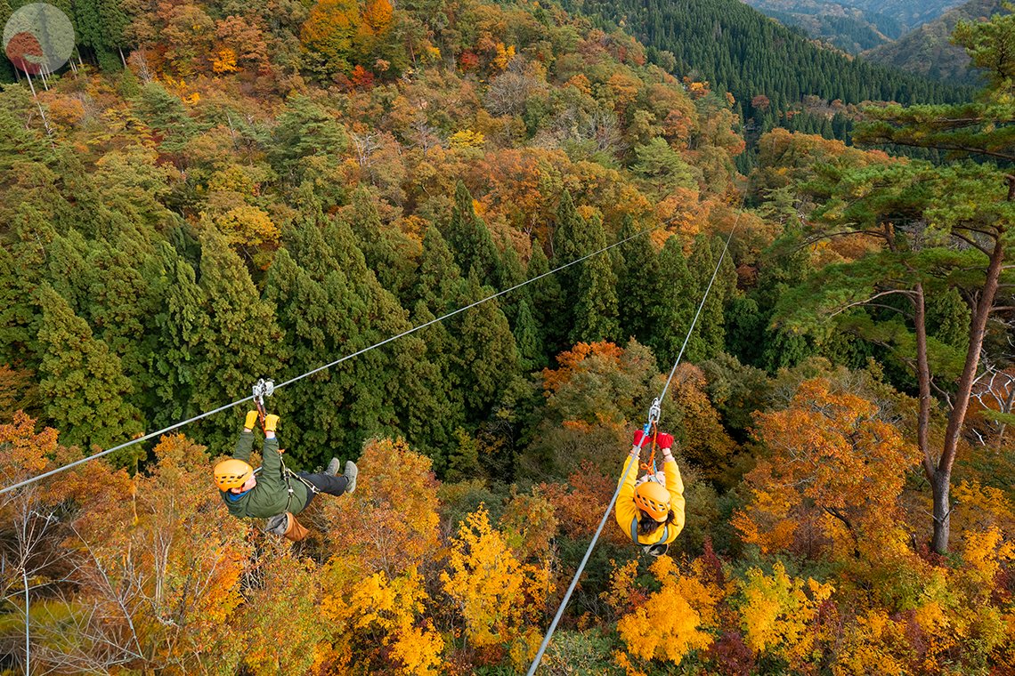 細川のポートフォリオ9
