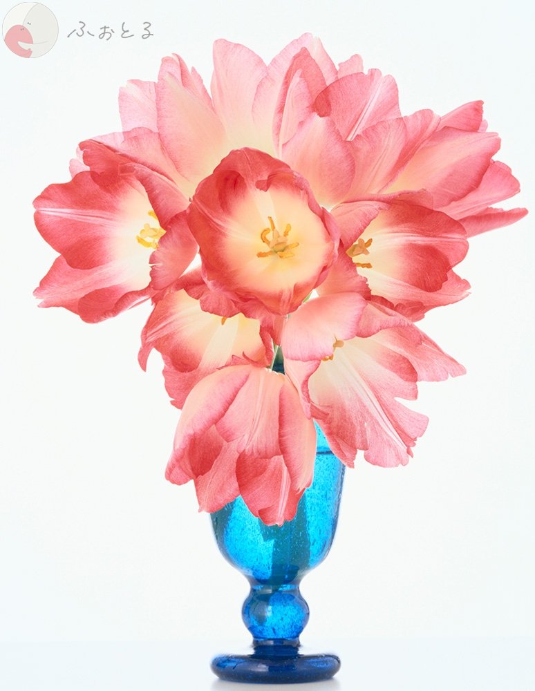 尹哲郎のポートフォリオ0