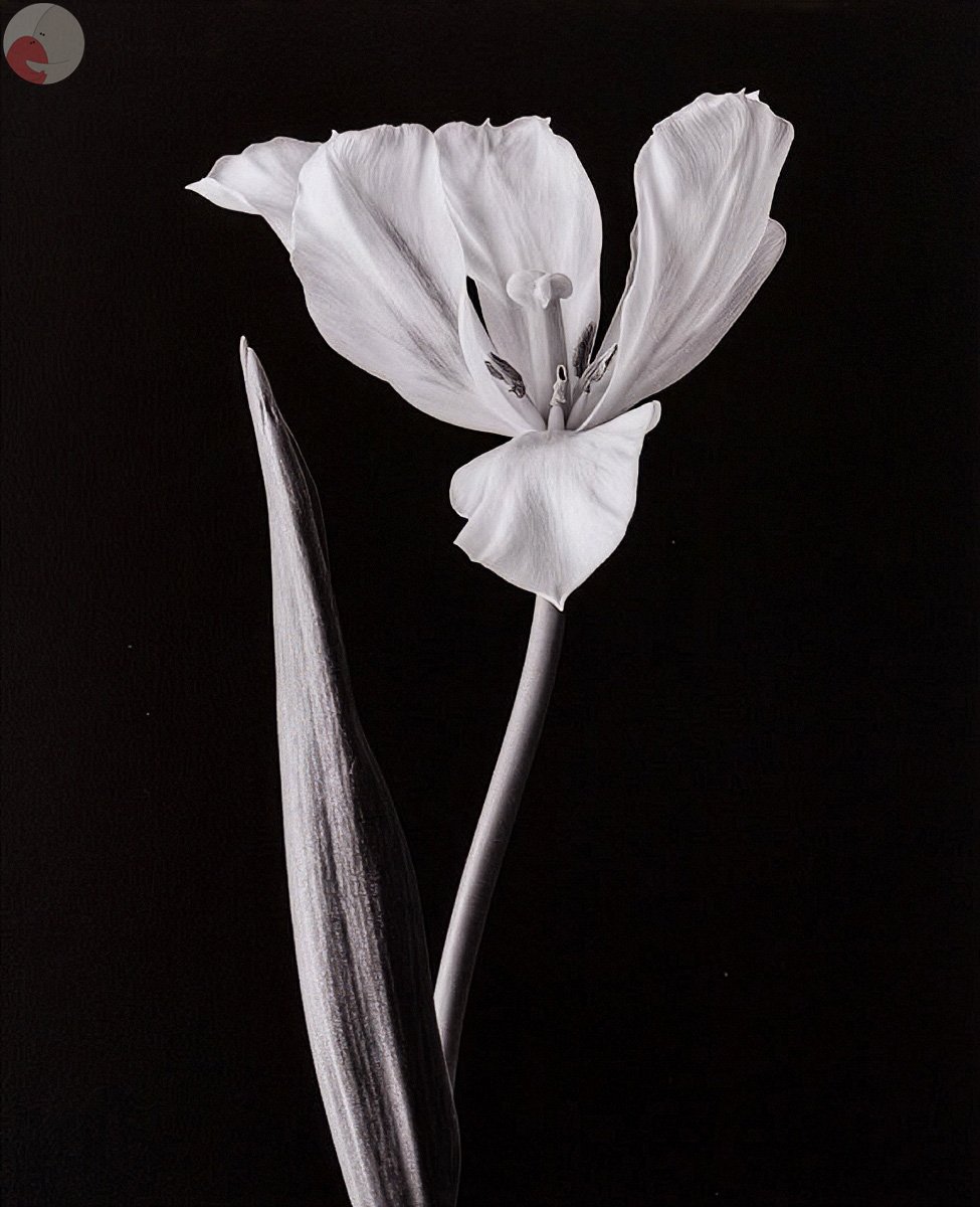 尹哲郎のポートフォリオ4