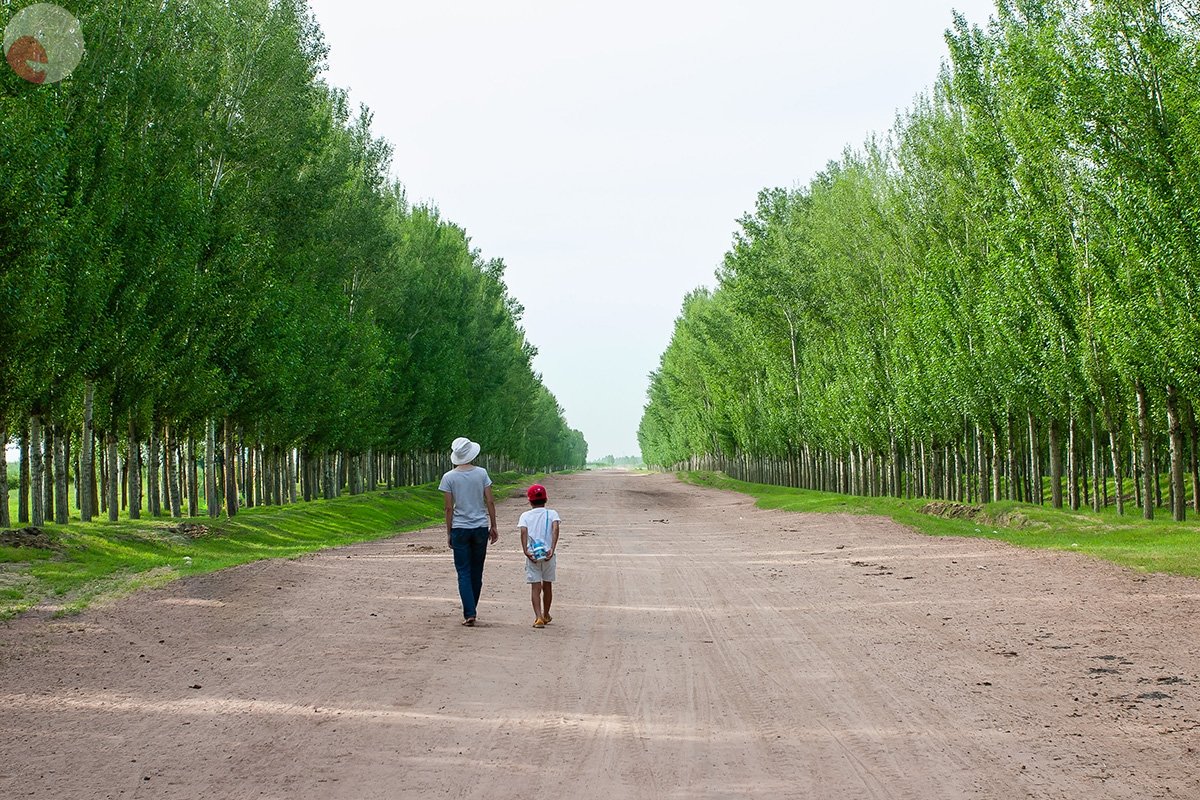 尹哲郎のポートフォリオ9