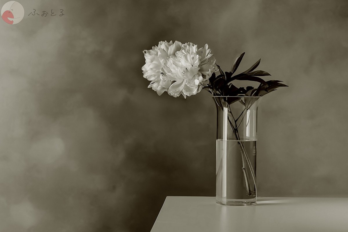 尹哲郎のポートフォリオ7