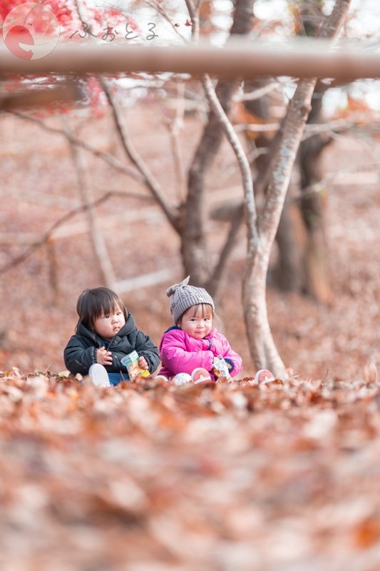 コジマタカフミのポートフォリオ3