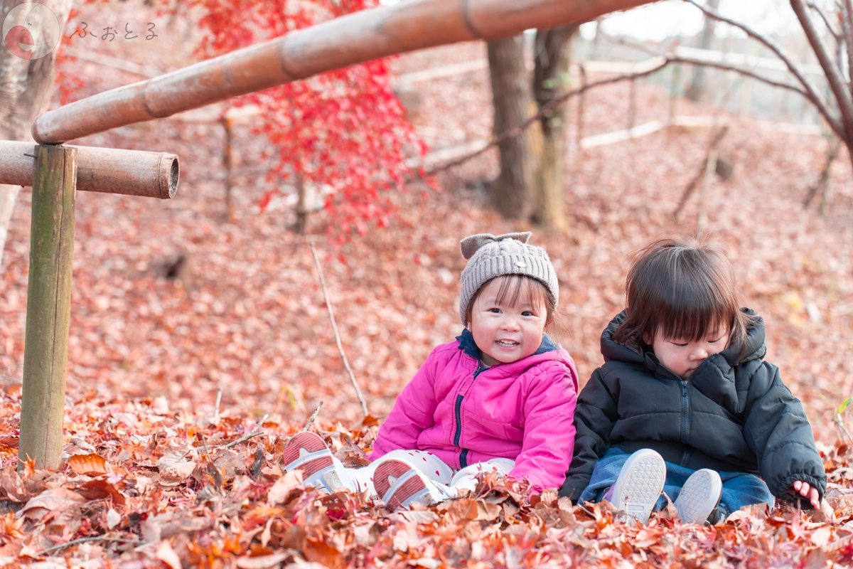 コジマタカフミのポートフォリオ2