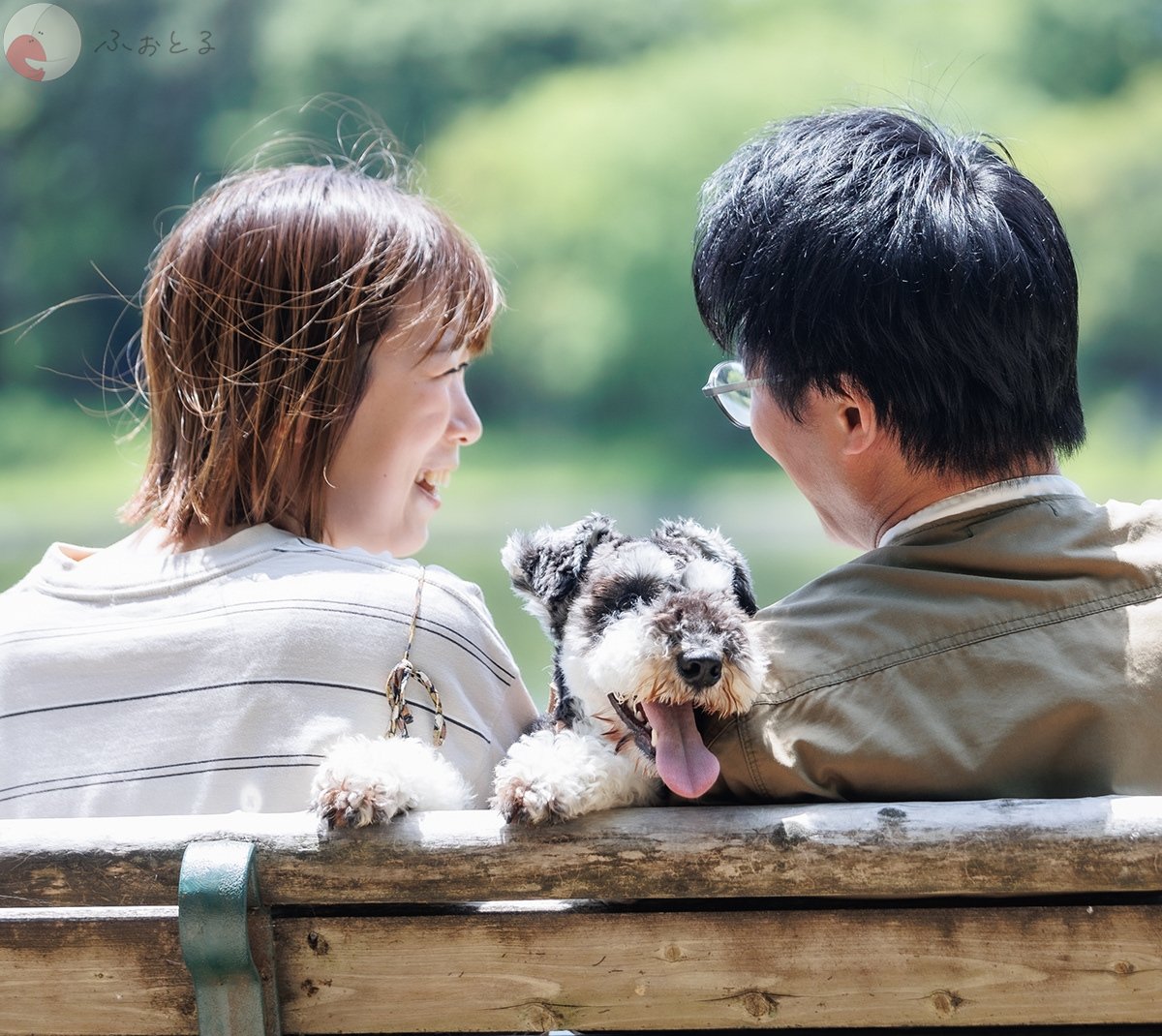 はやてのポートフォリオ1