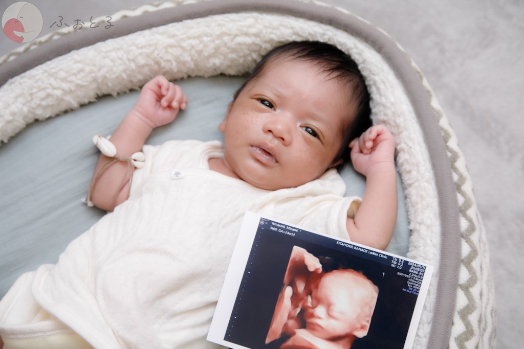 はやてのポートフォリオ4