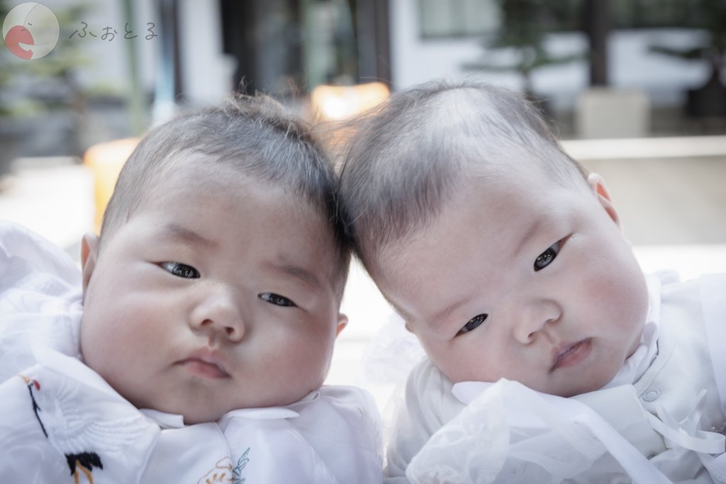 はやてのポートフォリオ8