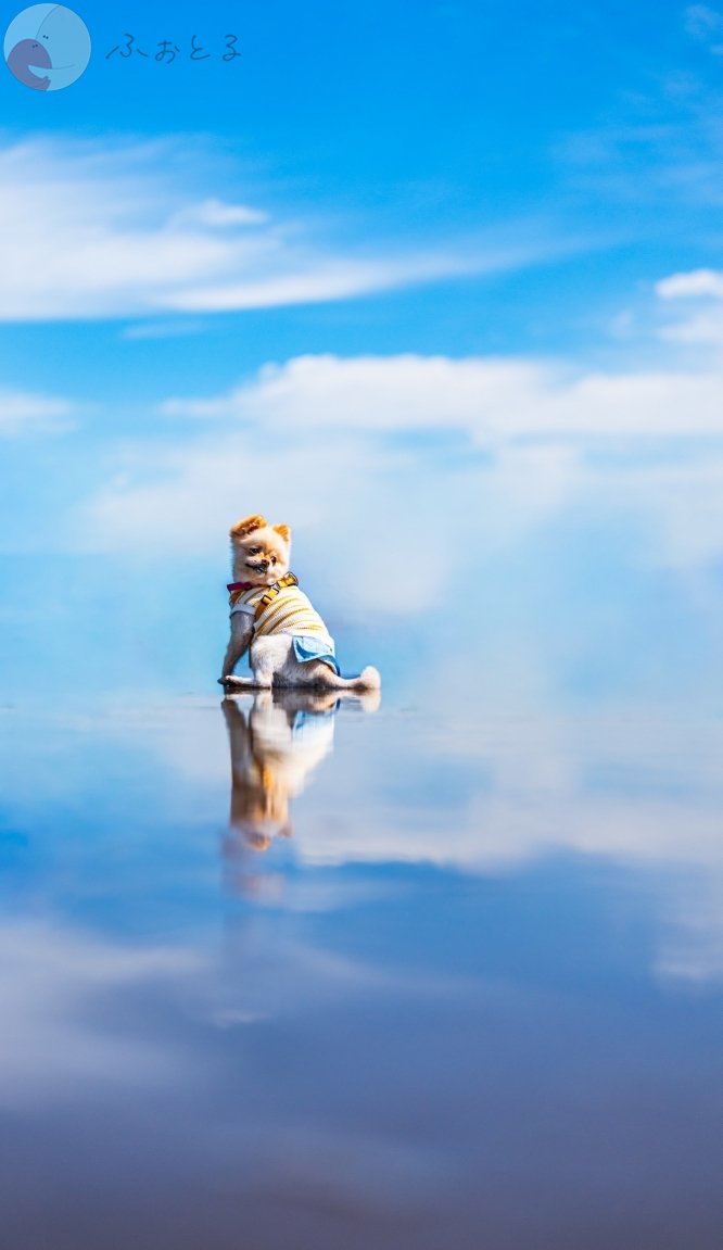 Mina.Mのポートフォリオ1